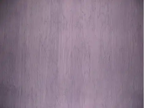   Aplicação de Textura na  Bosque da Saúde