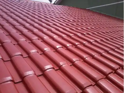 Pintura de Telhado no Jardim Elisa Maria