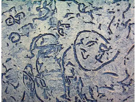  Aplicação de Textura   no Horto Florestal