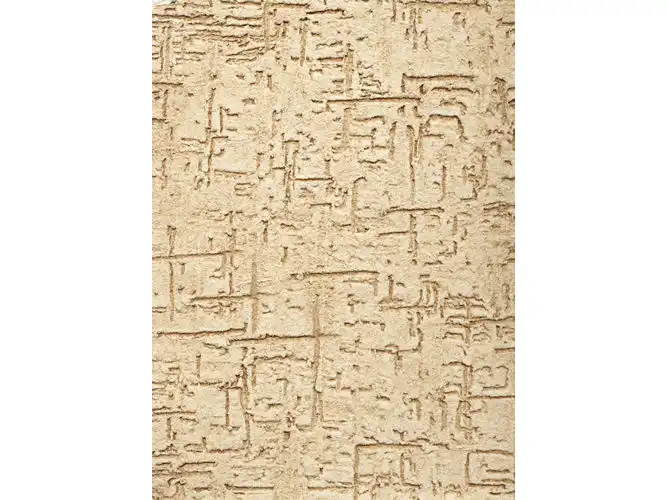  Aplicação de Textura  na Brasilândia