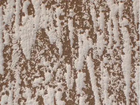  Aplicação de Textura  na Lapa