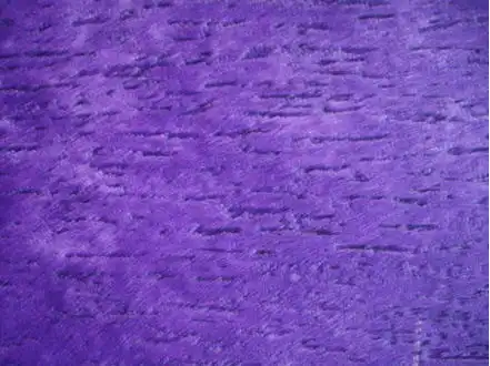  Aplicação de Textura em  Tucuruvi