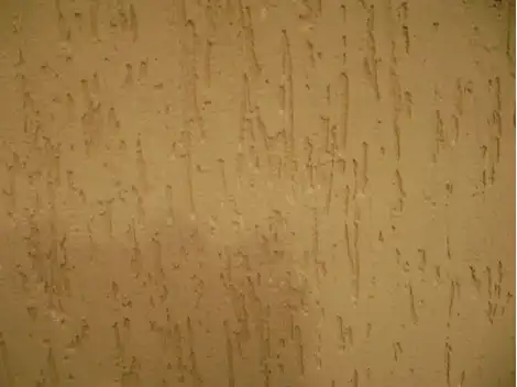  Aplicação de Textura em Jaguara