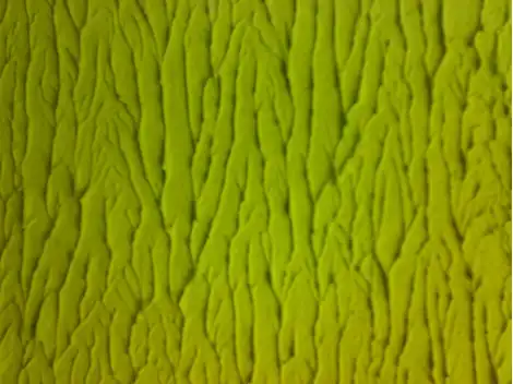 Aplicação de Textura  na  Paulista