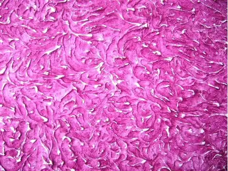 Aplicação de Textura  na Americanópolis