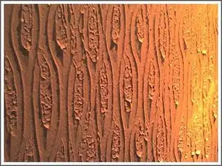 Aplicação de Textura  na Cidade Dutra