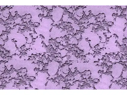 Aplicação de Textura  na Cidade Patriarca