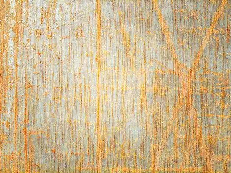 Aplicação de Textura  no Campo Limpo