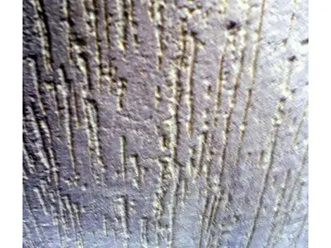 Aplicação de Textura  no Jardim da Saúde