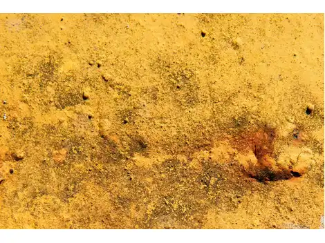 Aplicação de Textura em  Chácara Flora