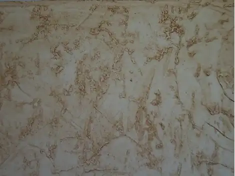 Aplicação de Textura em  Parelheiros