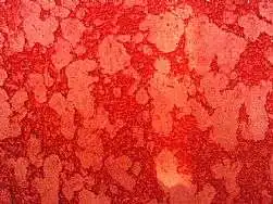 Aplicação de Grafiato  na Santa Cecília