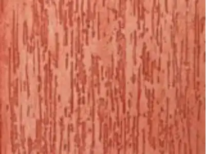Aplicação de Textura em Jardim Somara