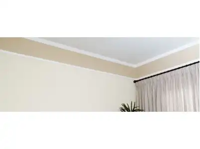 Pintor de Teto  na Vila Nivi