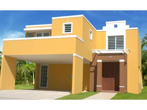 Pintor na Chácara São Marcos