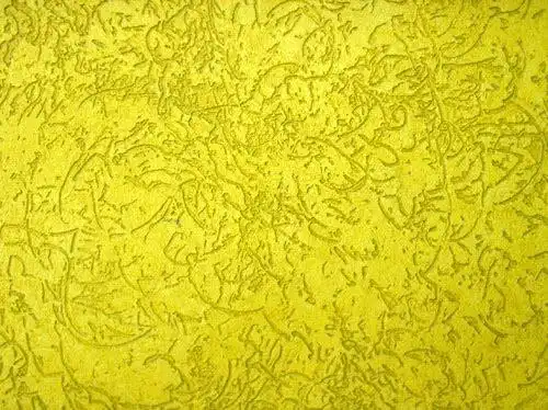 Aplicação de Grafiato  no Jardim Peri