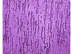 Aplicação de Grafiato na Parede de  área de Serviço de  Sobrados no Ipiranga