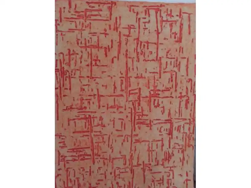 Aplicação de Grafiato na Vila Caraguatá