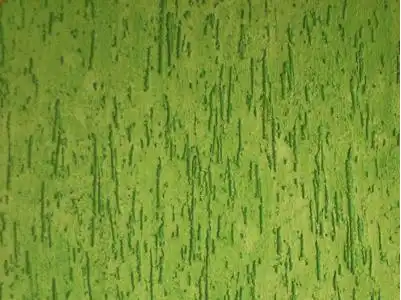 Aplicação de Grafiato no Cambuci