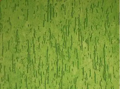 Aplicação de Grafiato no Jardim Celeste