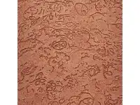 Aplicação de Grafiato no Jardim Metropolitano  