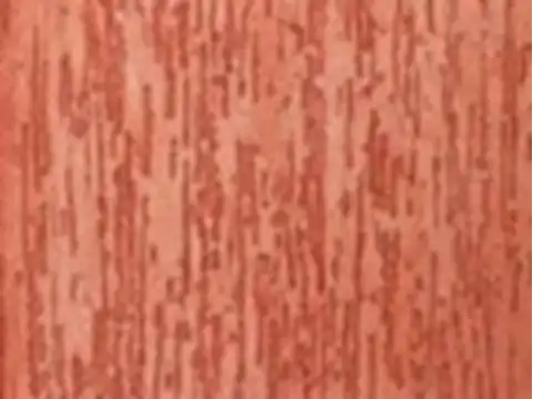 Aplicacao de Textura na Vila Santo Henrique