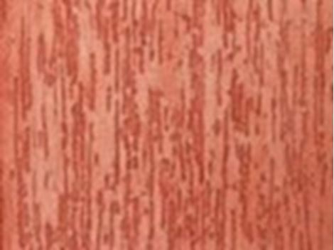 Aplicacao de Textura no Jardim Planalto