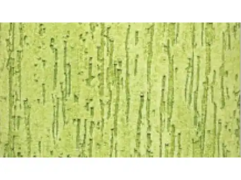 Precisa de Pintor no Artur Alvim